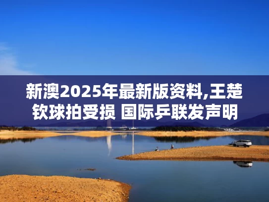 新澳2025年最新版资料,王楚钦球拍受损 国际乒联发声明