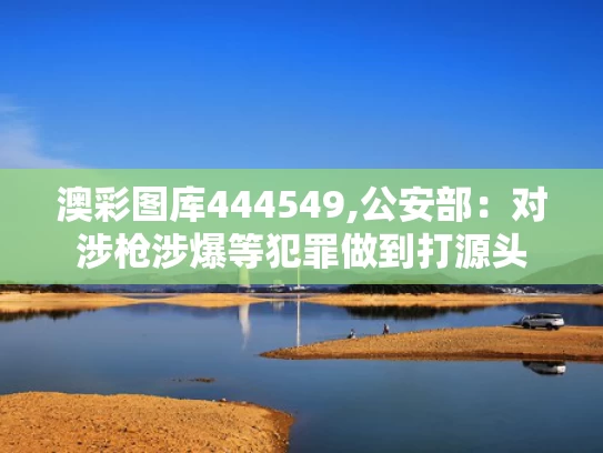 澳彩图库444549,公安部：对涉枪涉爆等犯罪做到打源头