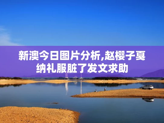 新澳今日图片分析,赵樱子戛纳礼服脏了发文求助