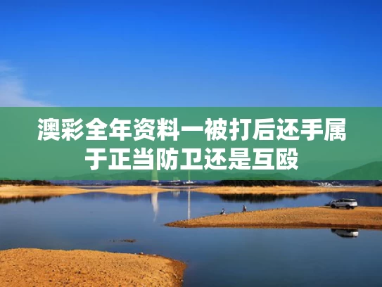 澳彩全年资料一	被打后还手属于正当防卫还是互殴