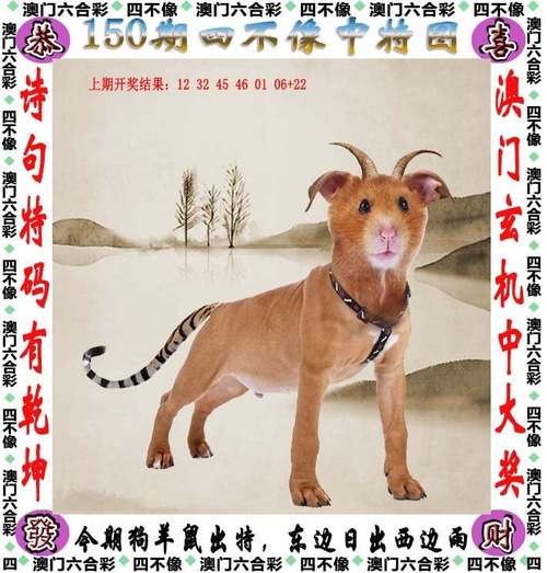 2025年5月28日 第9页