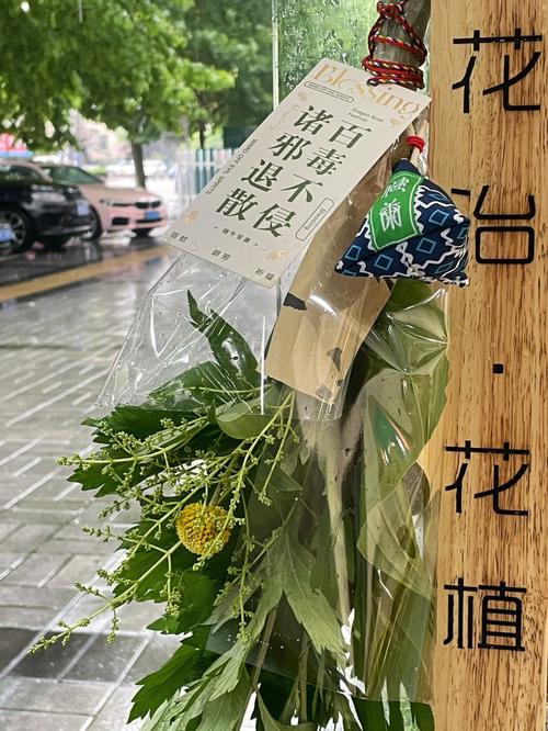 新澳2025年最新版资料柳媚花明:年轻人爱上端午挂艾